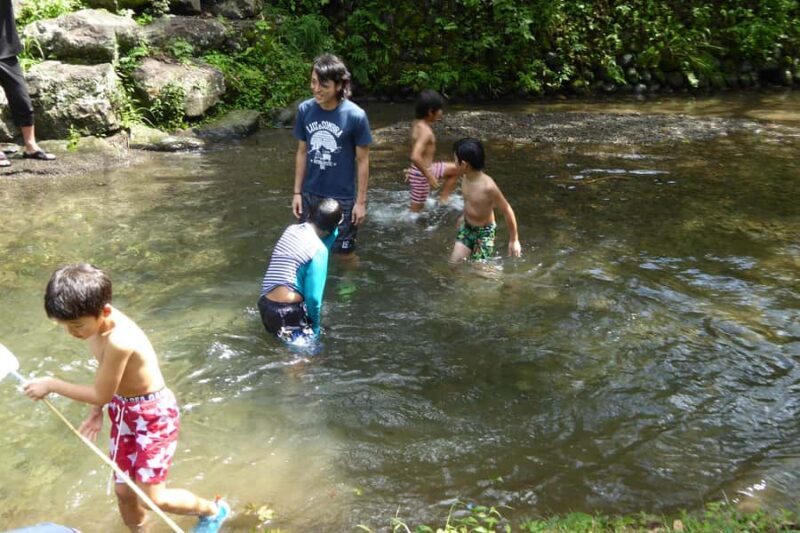 Fujieda: Suisha-mura Traditional Japanese Cooking Experience - FAQ