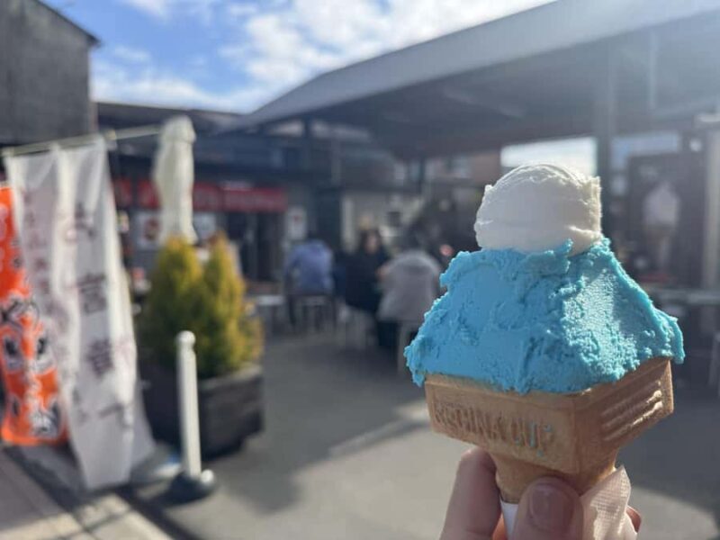 Fujinomiya: Mt. Fuji Private Taxi Tour - The Sum Up