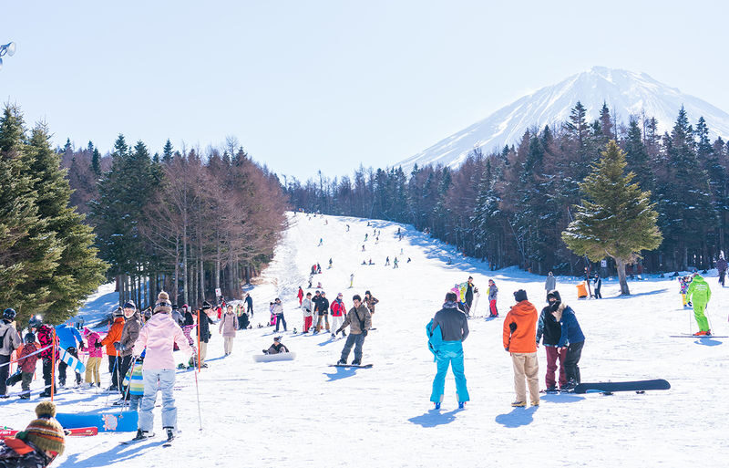 Fujiyama Snow Resort Yeti Skiing/Snow Play & Strawberry Picking Tour - Izu Fruit Park adds a fresh, sweet finish