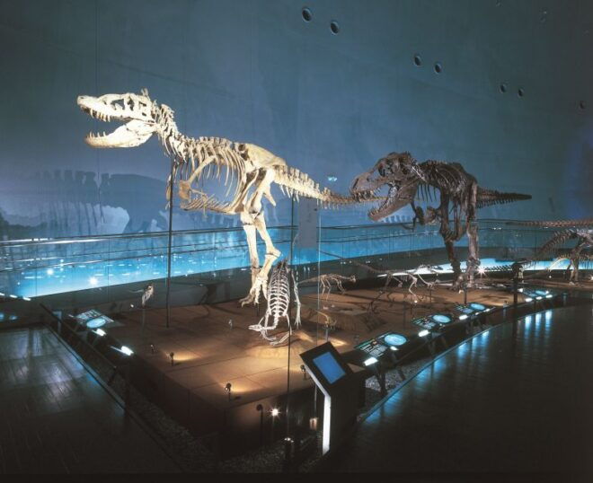 Fukui: 1 or 2 Day Car Rental - Included Insurance and Additional Add-Ons