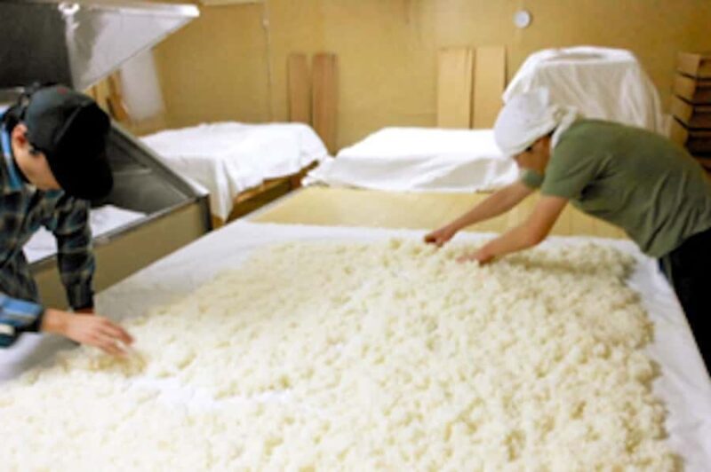 Fukui City: Funaki Sake Brewery Tour and Tasting - Practical Details and Tips