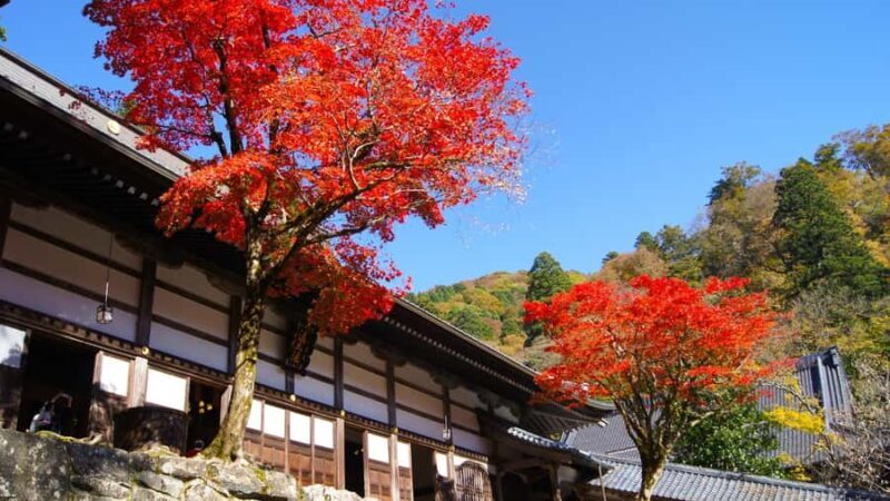 Fukui: Eiheiji Temple and the Heart of Zen Buddhism - The Sum Up