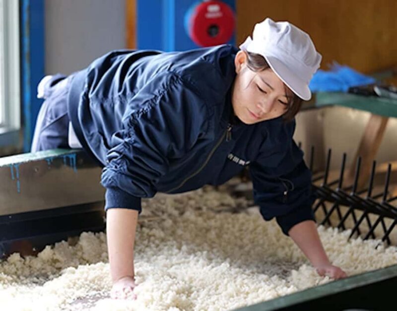 Fukui : Yoshida Sake Brewery Tour and Tasting - Practical Details and Considerations