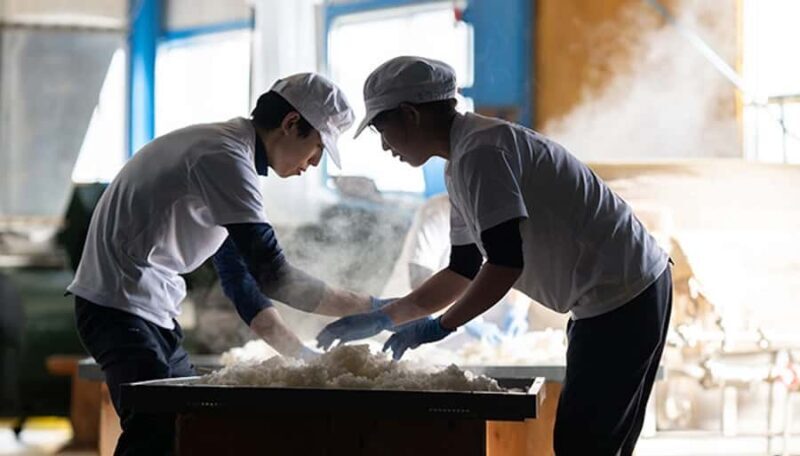 Fukui : Yoshida Sake Brewery Tour and Tasting - Introduction