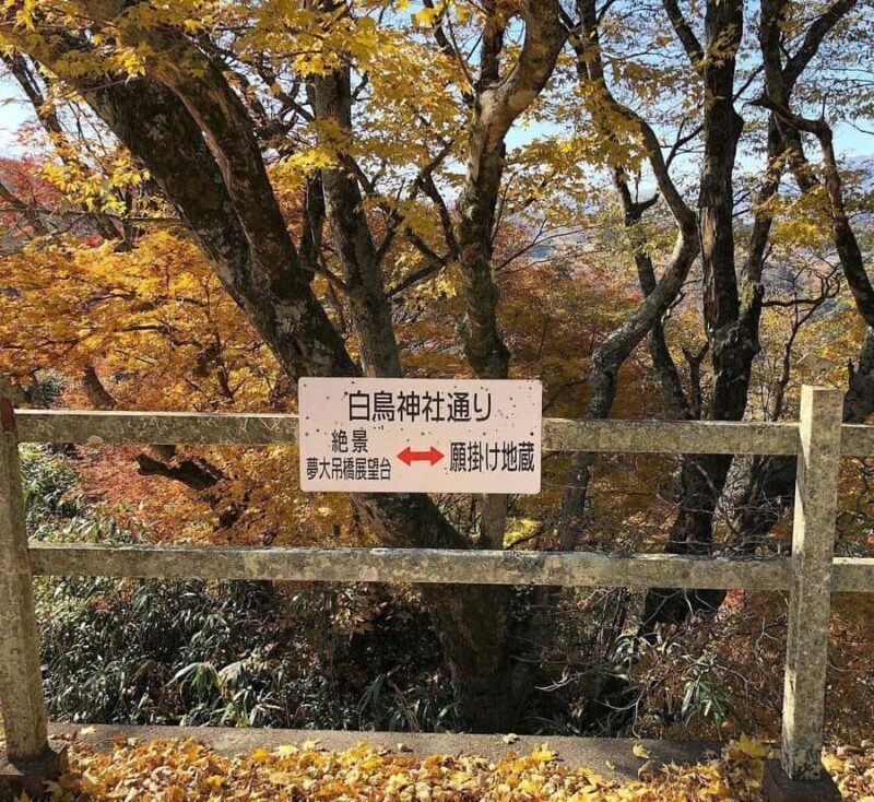 Fukuoka: 2-Day Kysh Onsen & Mt. Aso -Volcano Escape Tour - Good To Know