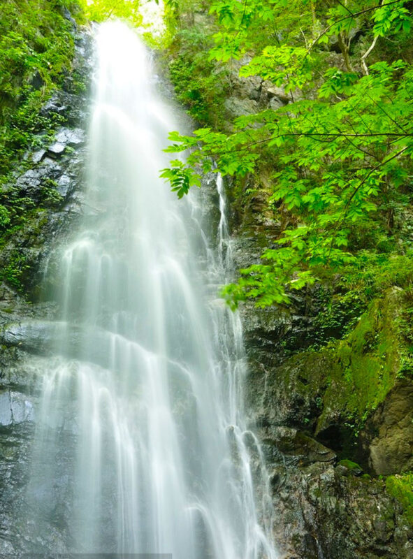 Fukuoka 6 Attractions Full-Day Coastal & Cultural Tour - Why make the trip to Itoshima?