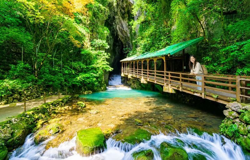 Fukuoka Akiyoshido Cave & Motonosumi Shrine Full-Day Tour - A Long Day That Links Cave, Shrine and Sea