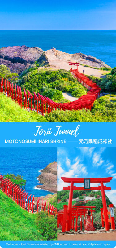 Fukuoka Akiyoshido Cave & Motonosumi Shrine Full-Day Tour - Should You Book This Fukuoka Day Trip?