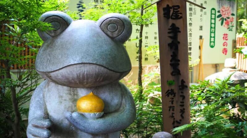 Fukuoka: Beppu Hells HotSpring, Frog Temple & Yufuin DayTrip - A Deep Dive Into the Experience