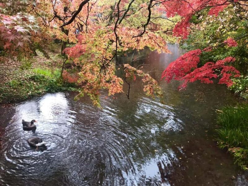 Fukuoka: Beppu Hells HotSpring, Frog Temple & Yufuin DayTrip - Who Should Consider This Tour?
