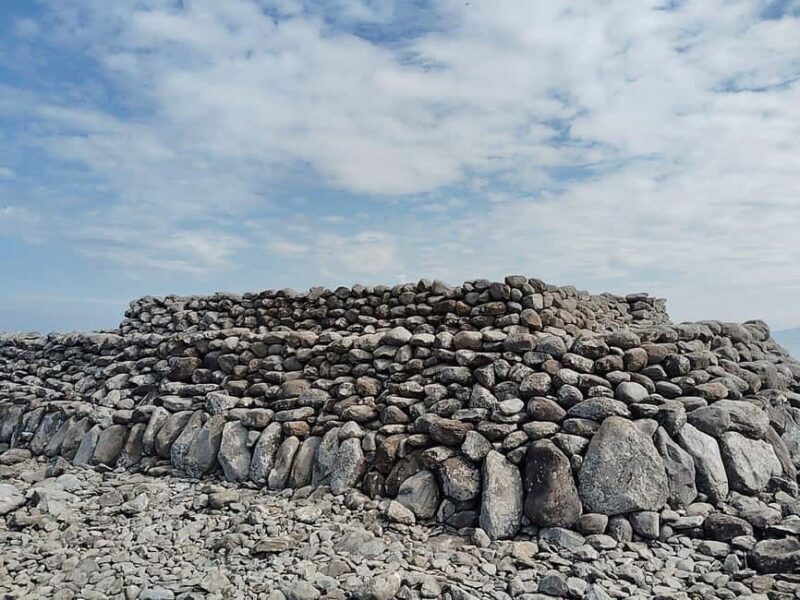 Fukuoka: Cats Island, Ainoshima Guided Tour from Hakata - Authentic Experiences & Hidden Gems