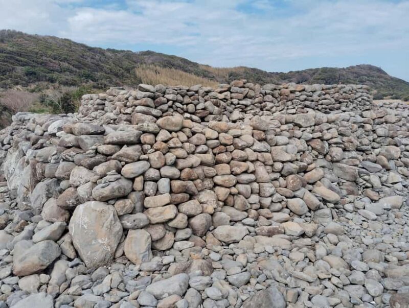 Fukuoka: Cats Island, Ainoshima Guided Tour from Hakata - The Sum Up