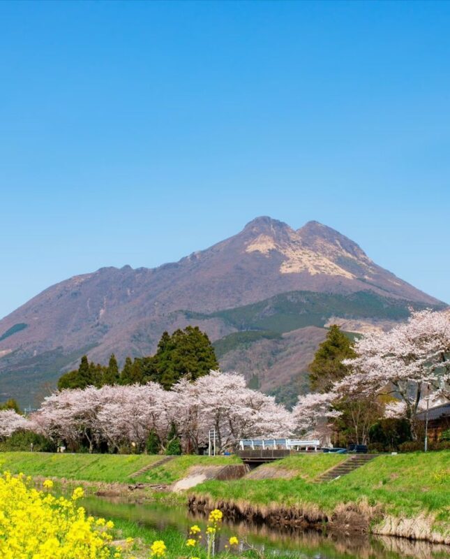 Fukuoka Chartered Day Tour | Chinese Driver and Guide, 10-Hour Private Transfer | Multiple Routes Available or Customizable in Fukuoka/Nagasaki/Oita/Kumamoto/Takachiho - What to know before you book