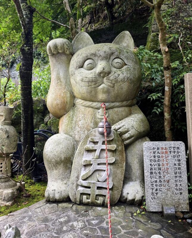 Fukuoka Chartered Day Tour | Chinese Driver and Guide, 10-Hour Private Transfer | Multiple Routes Available or Customizable in Fukuoka/Nagasaki/Oita/Kumamoto/Takachiho - A private car changes the shape of a Fukuoka day