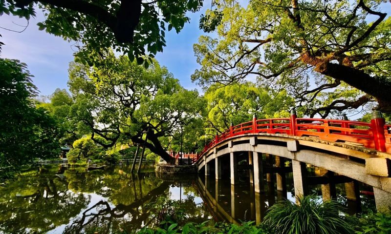Fukuoka Chartered Day Tour | Chinese Driver and Guide, 10-Hour Private Transfer | Multiple Routes Available or Customizable in Fukuoka/Nagasaki/Oita/Kumamoto/Takachiho - Going farther: four Kyushu routes, four different days