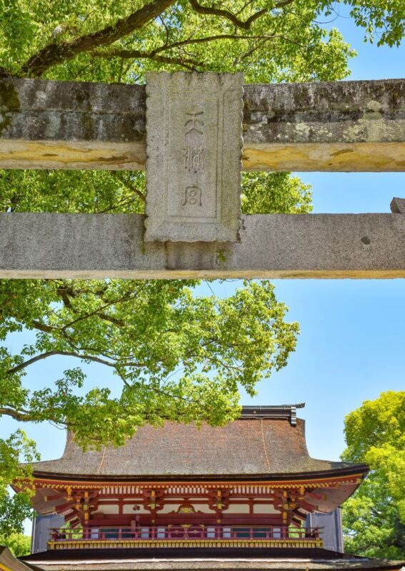 Fukuoka Chartered Day Tour | Chinese Driver and Guide, 10-Hour Private Transfer | Multiple Routes Available or Customizable in Fukuoka/Nagasaki/Oita/Kumamoto/Takachiho - What the price covers, and where extra costs can appear