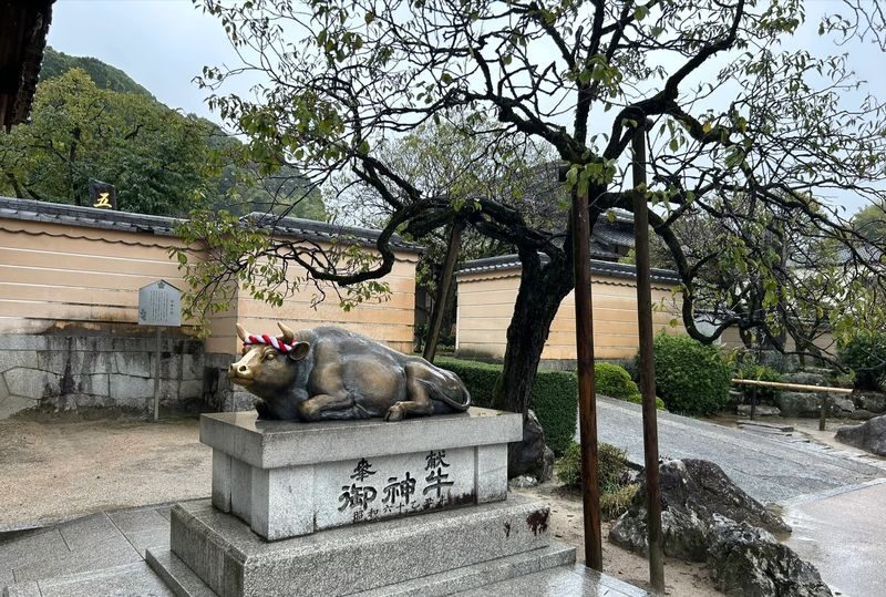 Fukuoka Chartered Day Tour | Chinese Driver and Guide, 10-Hour Private Transfer | Multiple Routes Available or Customizable in Fukuoka/Nagasaki/Oita/Kumamoto/Takachiho - Making the most of your ten hours