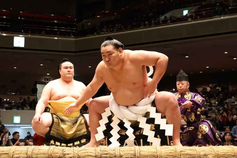Fukuoka City, Kyushu Grand Sumo Tournament Viewing Tour - What to know before booking