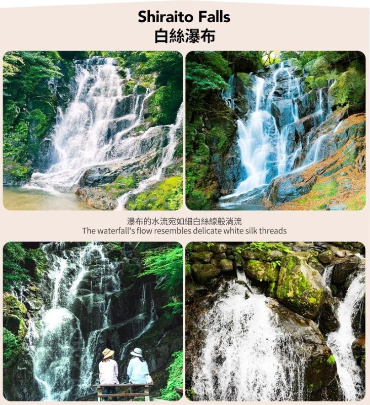 Fukuoka Coast: 6 Major Attractions Day Trip, Experience Romantic Swings - Six different sides of Itoshima in one day