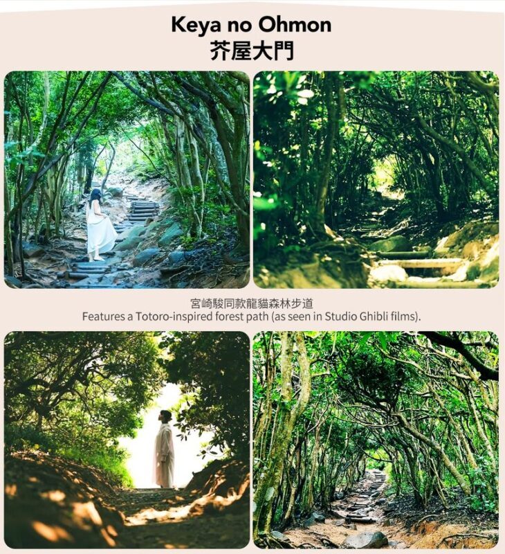 Fukuoka Coast: 6 Major Attractions Day Trip, Experience Romantic Swings - Raizan Senjoji Temple adds a slower, more reflective pause