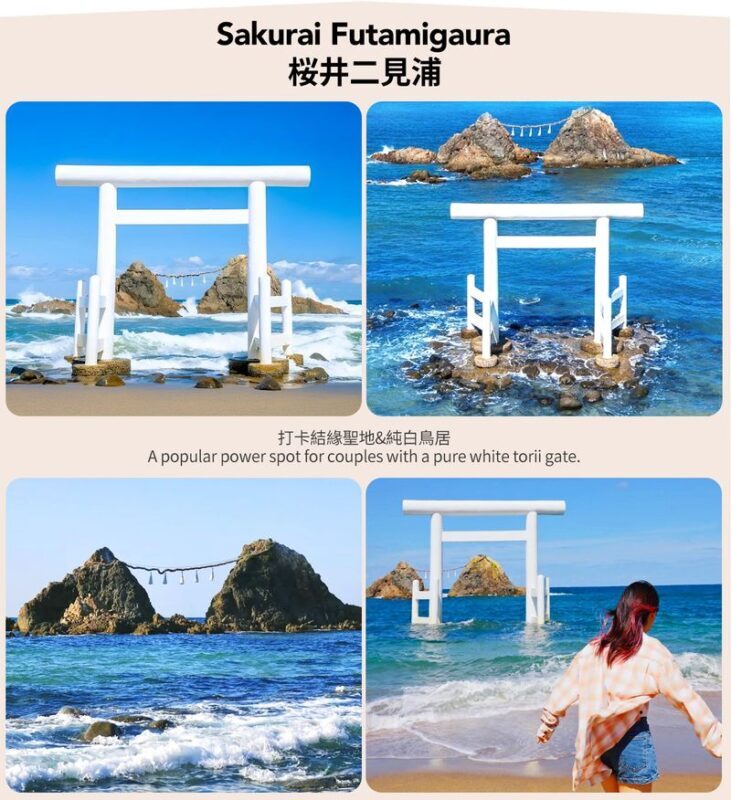 Fukuoka Coast: 6 Major Attractions Day Trip, Experience Romantic Swings - Treat Ichiran Forest as a stop to verify