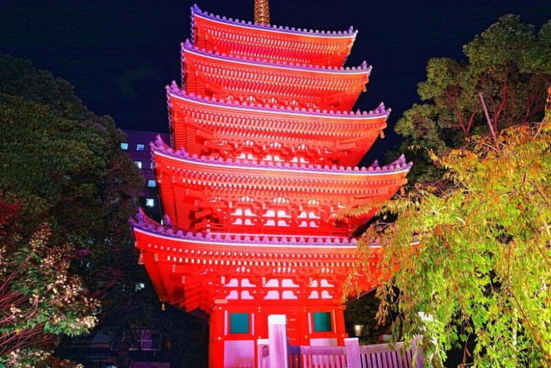 Fukuoka Cultural Walk: Castle, Shrines, Temples & Tales - The Value of a Local Guide