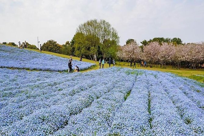 Fukuoka Custom Full Day Tour - The Sum Up