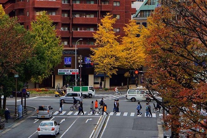 Fukuoka Custom Half Day Tour - Customization and Cancellation Policy