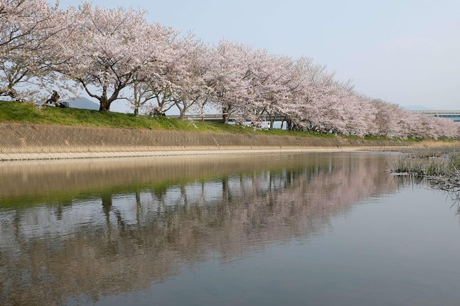 Fukuoka Custom Half Day Tour - Common Questions