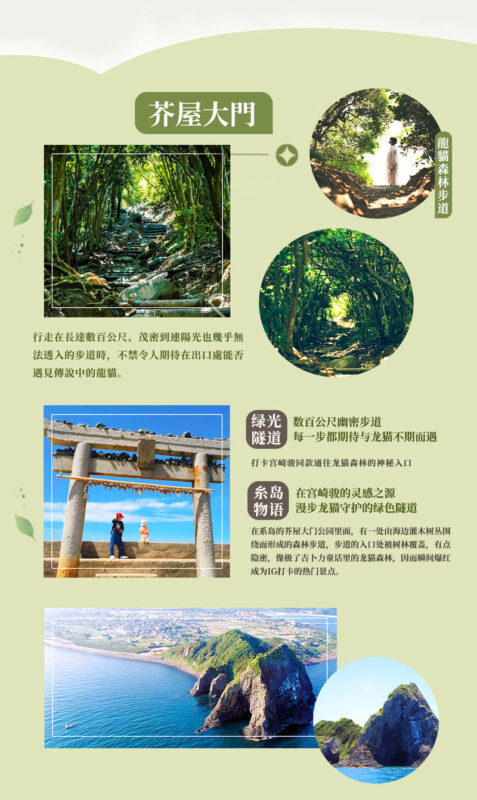 Fukuoka Day Trip: Shiraito Falls, Meoto Iwa, and Totoro Forest - Keya’s forest trail: a short, shaded walk