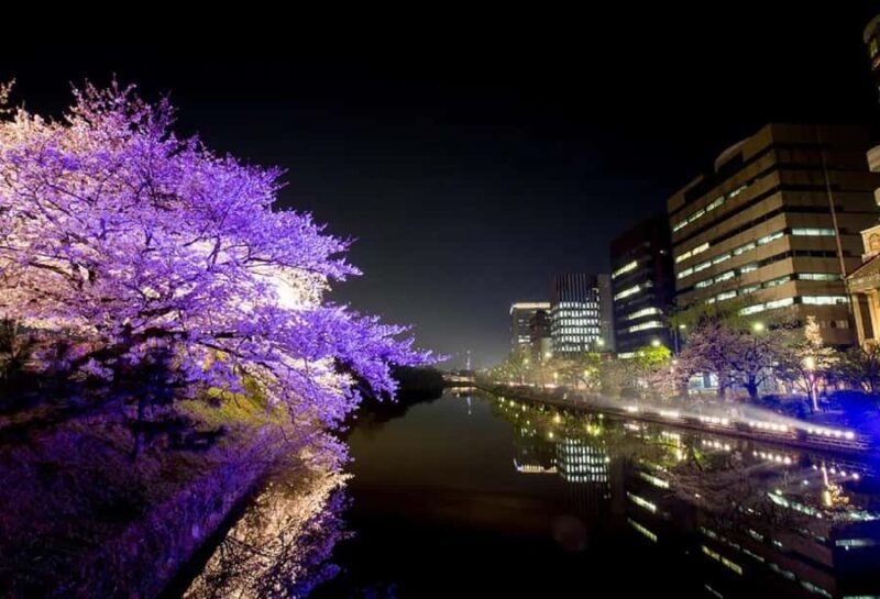 Fukuoka: Dazaifu Shrine, Ohori Park, and Castle Tour - Final Thoughts: Is It Worth It?