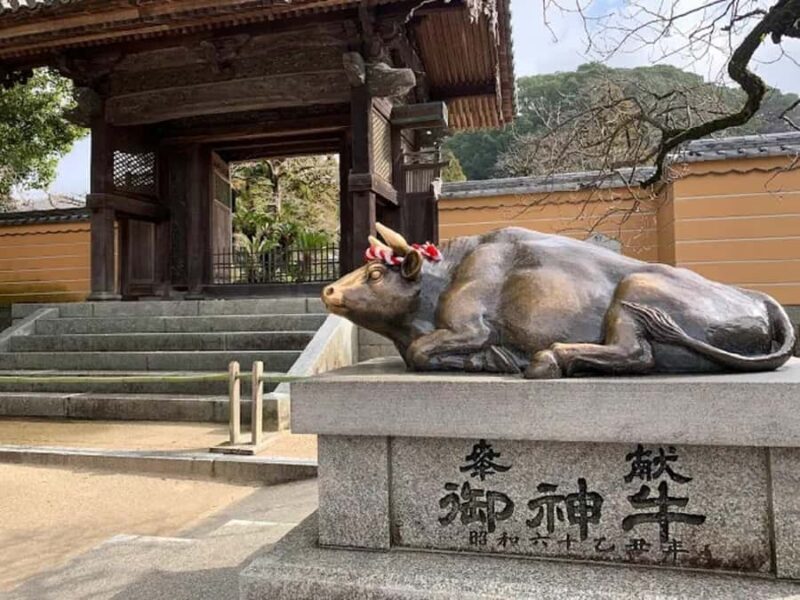 Fukuoka: Dazaifu Shrine, Ohori Park, and Castle Tour - An In-Depth Look at the Tour Experience