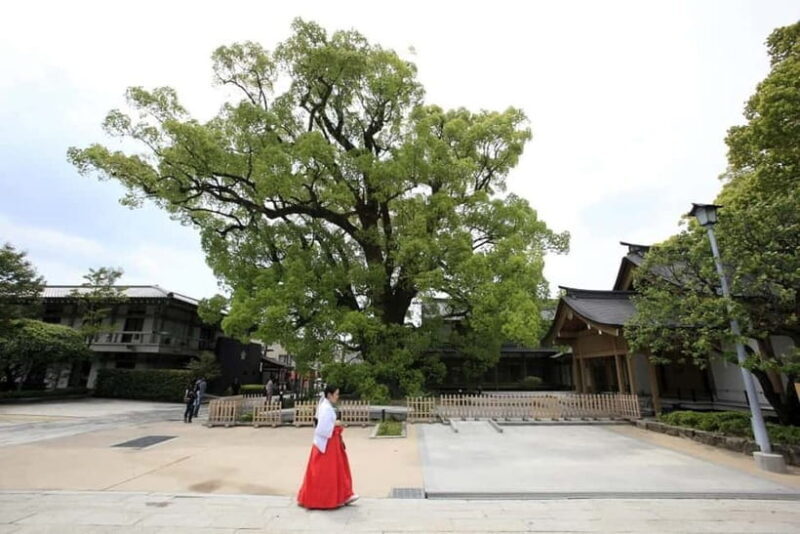 Fukuoka: Dazaifu Tenmangu 2-hour Guided Tour - Photo Stop at the San-no-Torii and Sacred Cow