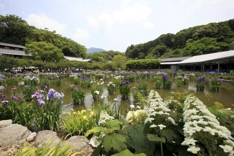 Fukuoka: Dazaifu Tenmangu 2-hour Guided Tour - Final Thoughts