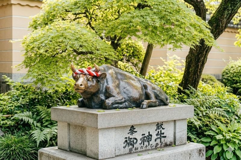 Fukuoka Dazaifu Tenmangu & Arita Pottery Festival Day Tour - What the guide can add to a full day