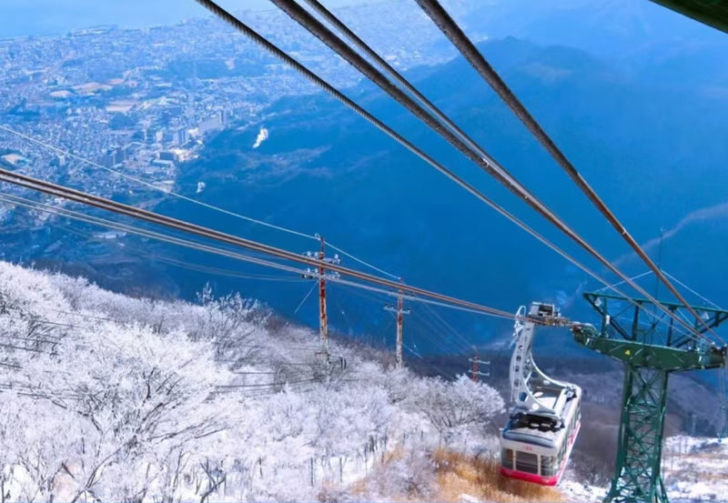 Fukuoka Dazaifu Tenmangu & Yufuin Full-Day Experience - Cancellation and schedule risks