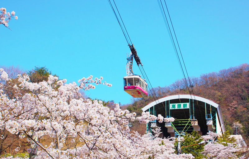 Fukuoka Dazaifu Tenmangu & Yufuin Full-Day Tour - The guide may be the day’s strongest asset