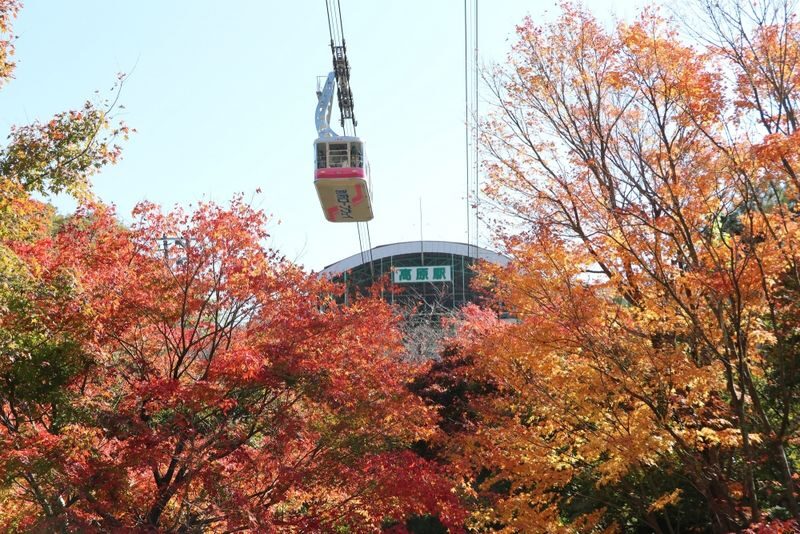 Fukuoka Dazaifu Tenmangu & Yufuin Full-Day Tour - What $63.09 buys, and what to verify