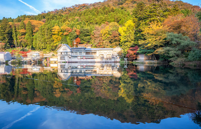 Fukuoka Dazaifu Tenmangu & Yufuin Full-Day Tour - Who should book this day trip