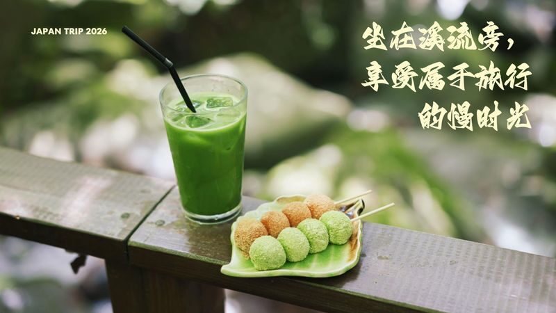 Fukuoka Dazaifu & Tosu Premium Outlets Private Day Tour - The pace and what to clarify