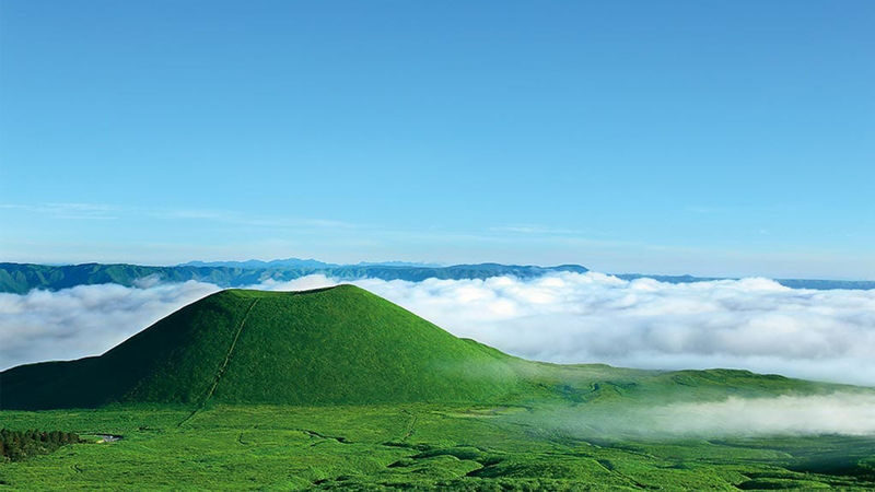 (Fukuoka Departure) Kumamoto Private Car Charter Day Tour | Kumamoto Castle, Suizenji Jojuen Garden, Kumamoto Bear Square, Mount Aso, Kusasenri, Kamishikimi Kumanoza Shrine, Aso Shrine, Shirakawa Suigen, Daikanbo | Private Customized Tour - Pick one of three route styles