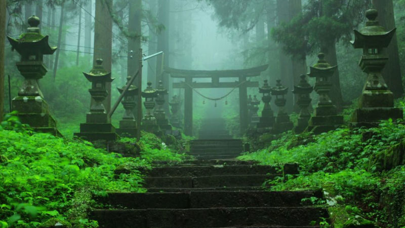 (Fukuoka Departure) Kumamoto Private Car Charter Day Tour | Kumamoto Castle, Suizenji Jojuen Garden, Kumamoto Bear Square, Mount Aso, Kusasenri, Kamishikimi Kumanoza Shrine, Aso Shrine, Shirakawa Suigen, Daikanbo | Private Customized Tour - Springs and shrines make a quieter Aso route