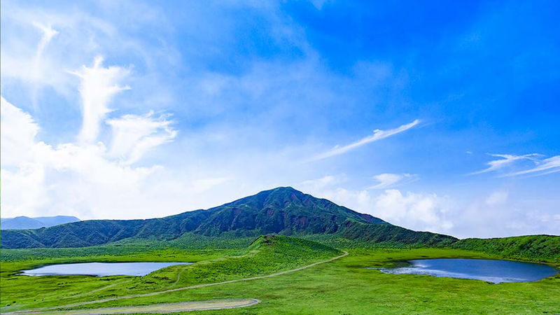 (Fukuoka Departure) Kumamoto Private Car Charter Day Tour | Kumamoto Castle, Suizenji Jojuen Garden, Kumamoto Bear Square, Mount Aso, Kusasenri, Kamishikimi Kumanoza Shrine, Aso Shrine, Shirakawa Suigen, Daikanbo | Private Customized Tour - What the driver-guide adds