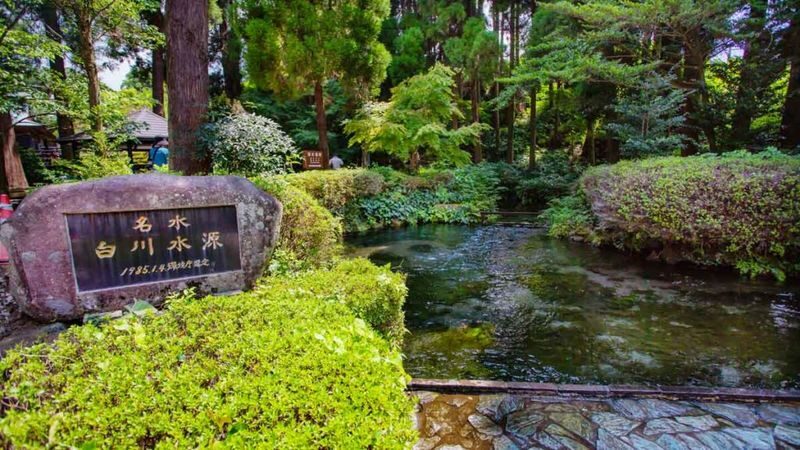 (Fukuoka Departure) Kumamoto Private Car Charter Day Tour | Kumamoto Castle, Suizenji Jojuen Garden, Kumamoto Bear Square, Mount Aso, Kusasenri, Kamishikimi Kumanoza Shrine, Aso Shrine, Shirakawa Suigen, Daikanbo | Private Customized Tour - Plan the route before the car arrives
