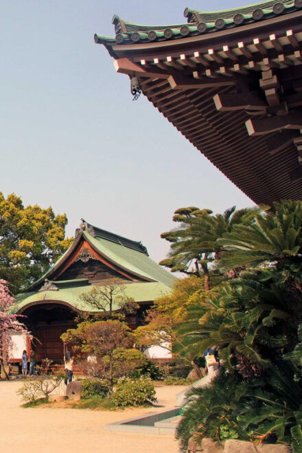 Fukuoka Essentials: History, Culture, & Charms - Local Festivals and Traditions