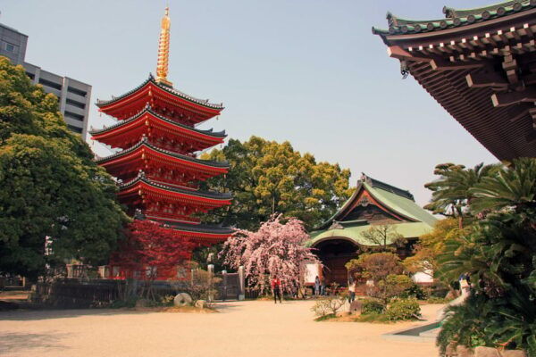 Fukuoka Essentials: History, Culture, & Charms - Scenic Spots and Nature