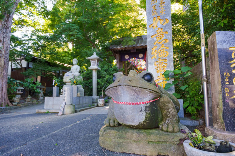Fukuoka Full-Day Dazaifu, Yanagawa Boating & Outlets Tour - Should you book this Fukuoka day tour?