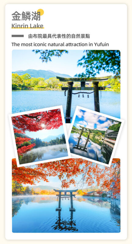 Fukuoka Full-Day Kyushu Natural Animal Park & Kinrin Lake Tour - Who should book this trip