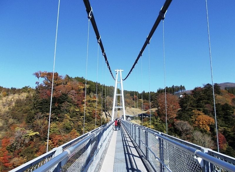 Fukuoka Full-Day Private Chartered Tour - What the driver can add