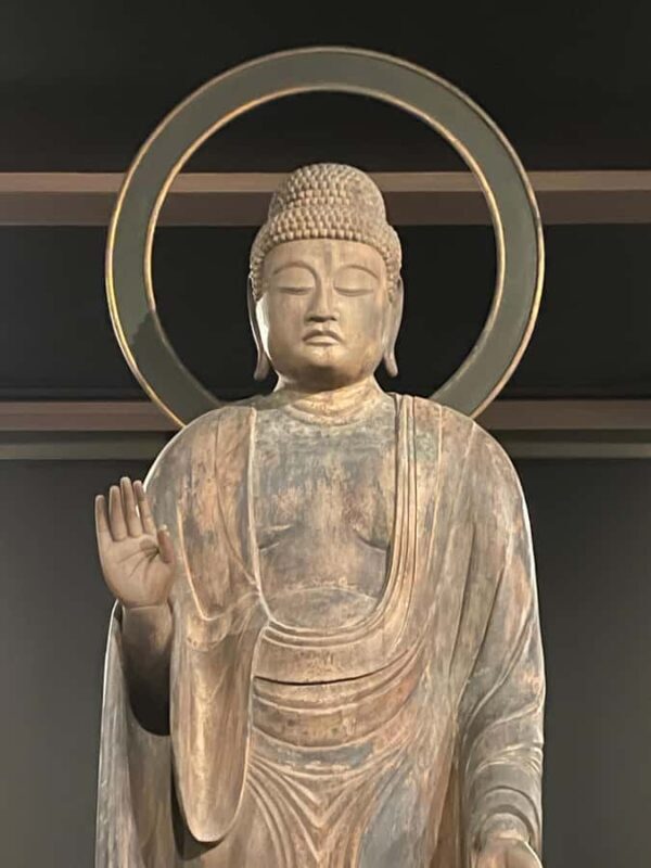 Fukuoka: Good Morning at Ohori Park and Fukuoka Castle Ruins - Discovering Fukuoka: A Morning at Ohori Park and the Castle Ruins